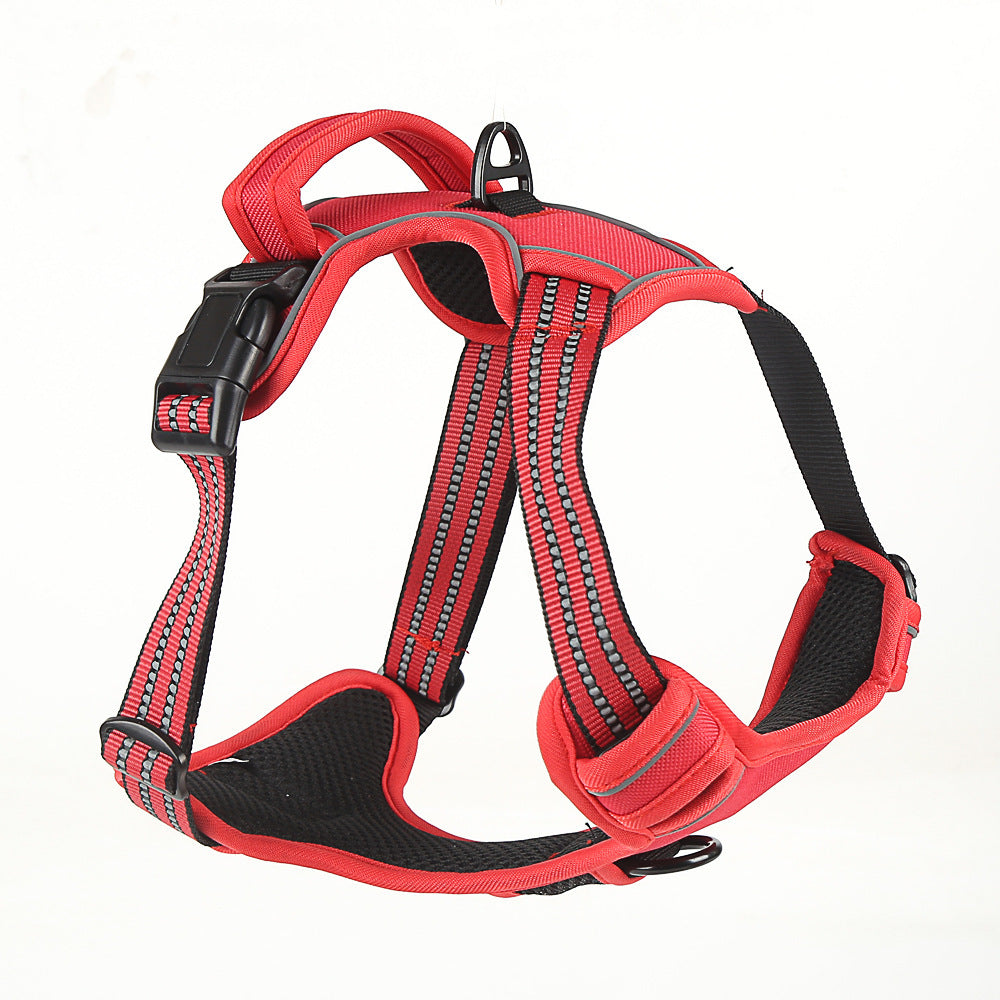 Pet Supplies Online: Everything for Your Furry Friend